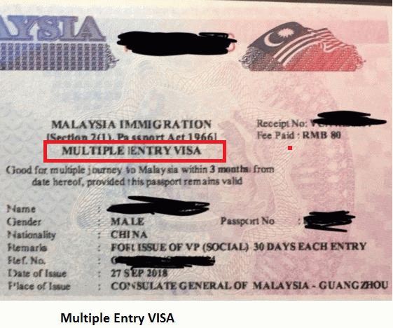 professional visit pass malaysia fee