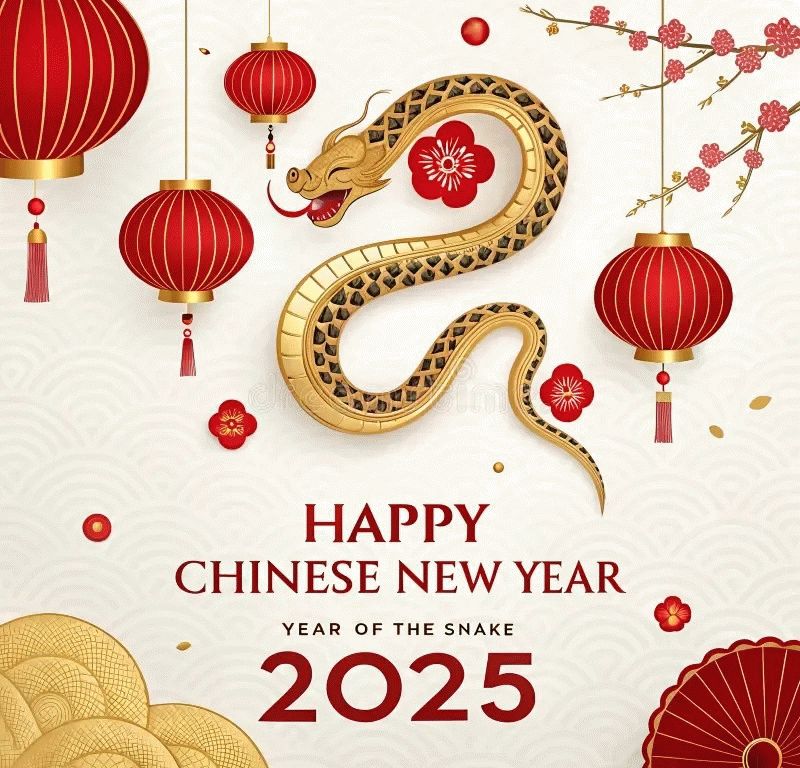 chinese new year 2025 questions and answers