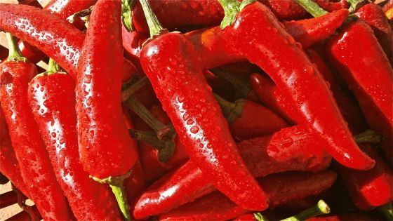 Chilies