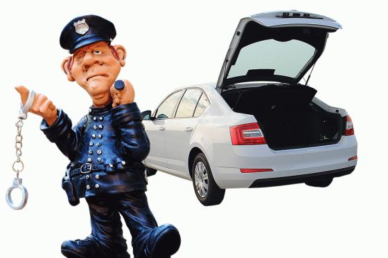 Police Search Car
