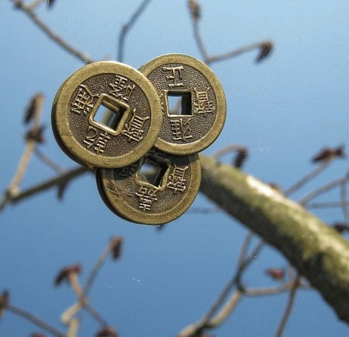 Feng Shui Money Tree