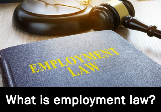 what-is-employment-law