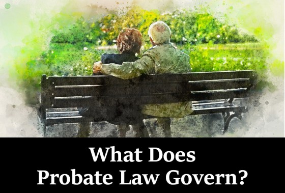 What Does Probate Law Govern