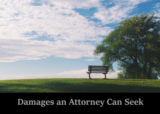 Damages an Attorney Can Seek