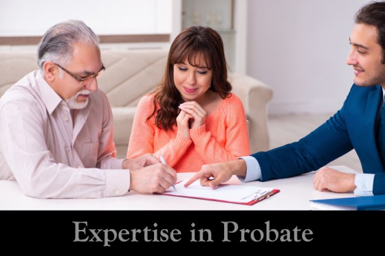 Expertise in Probate