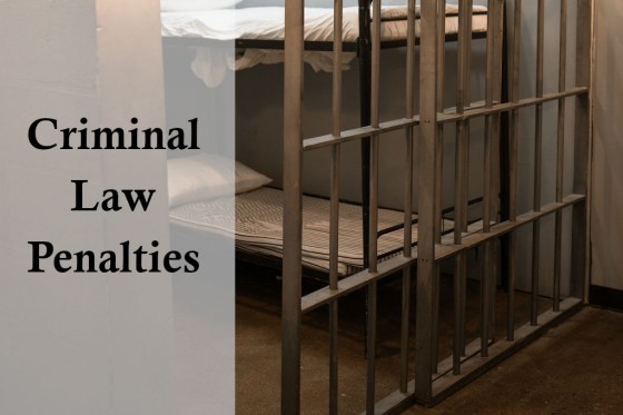 Criminal Law Penalties
