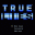 Download True Lies