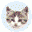 Download EF File Catalog