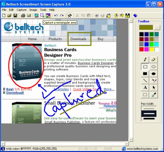 Belltech ScreenSmart Screen Capture Screenshot