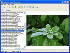 Neomesh Image Converter Screenshot