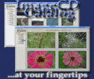 ImageCD Catalog Screenshot
