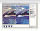 CorelDRAW Graphics Suite Screenshot