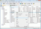 MySQL-Front Screenshot