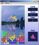 Crazy Tetris Screenshot