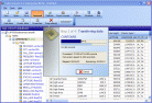 Full Convert Interbase/Firebird Edition Screenshot