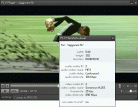 FLV Player Screenshot
