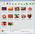 VisualLightBox Screenshot