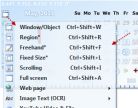 Capture .NET Screenshot
