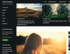 WordPress Screenshot