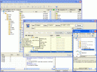 BitKinex FTP Client Screenshot
