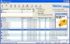 Duplicate Finder Screenshot