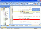 Rapid PHP Editor 2006 Screenshot