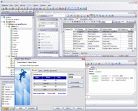 EMS MySQL Manager Professional Screenshot