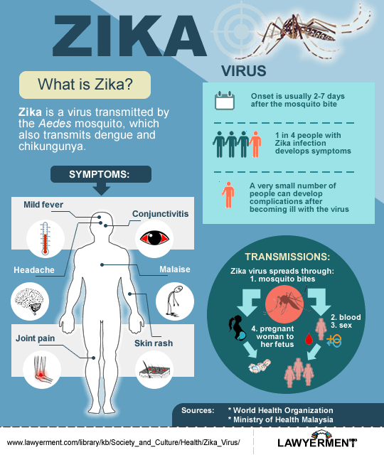 Facts About Zika Virus What Is Zika Zika Virus Lawyerment Knowledge Base 