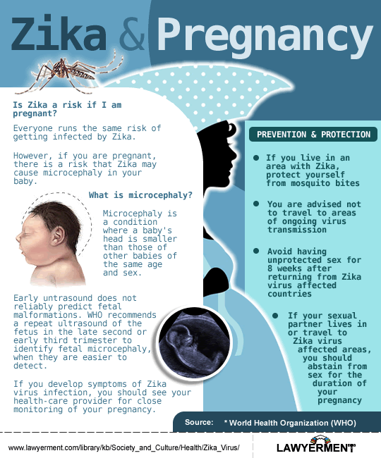 Infographic Zika And Pregnancy Zika Virus Lawyerment Knowledge Base 3491