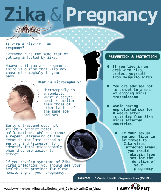 Infographic Zika And Pregnancy Zika Virus Lawyerment Knowledge Base 